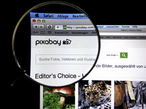 开云体育官网上-体育新闻中心发布体育短视频传播效果白皮书，体育短视频成为平台和用户的新宠